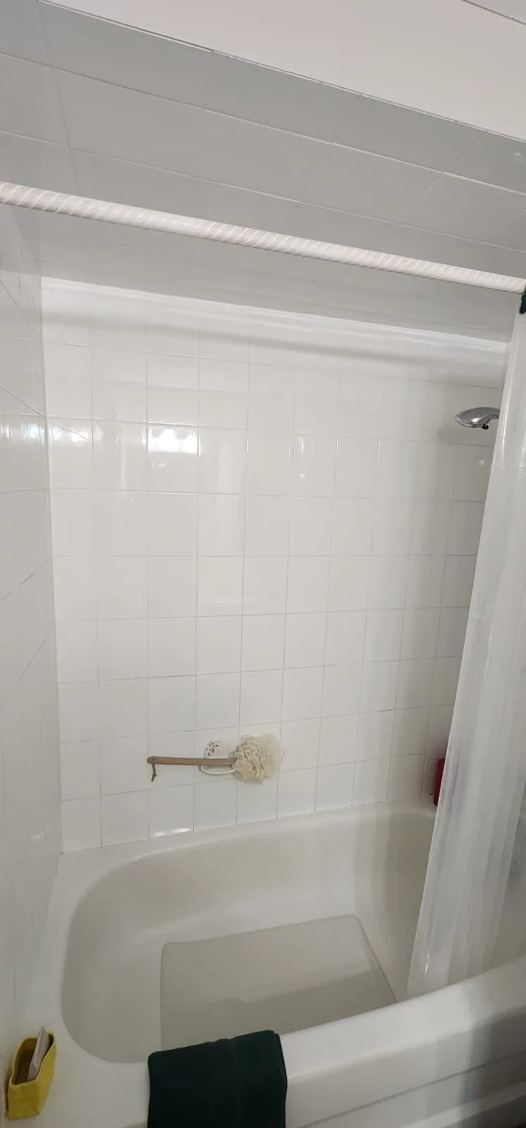 Tub surround, before