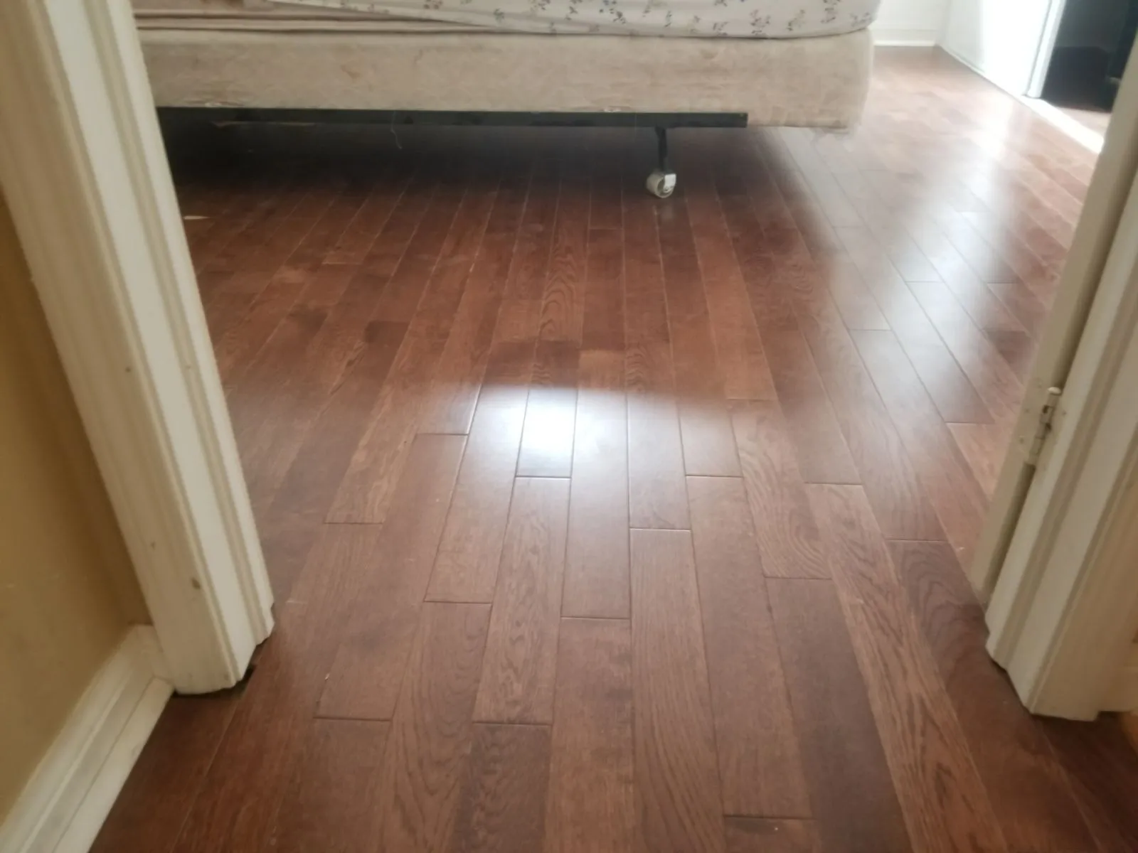 Flooring by EH Contracting